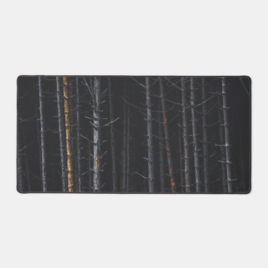 Troncs d'argent et d'or (Recto)