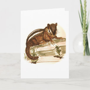 Tronqué la carte d'anniversaire de tamia