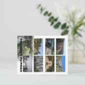 Troodos Cyprus Briefkaart (Staand voorkant)