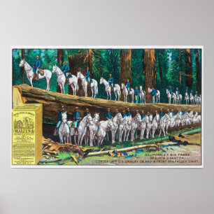 Troop I aan en voor Fallen Giant Poster