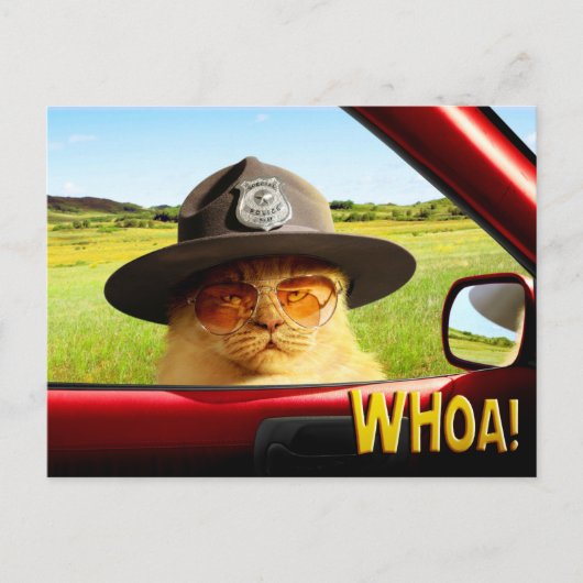 Trooper Cat Uitnodiging Briefkaart (Voorkant)