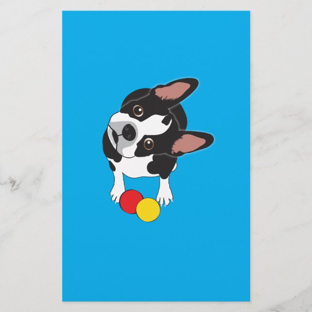 Trooper de Boston Terrier (Voorkant)