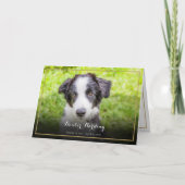 Troost bij het verlies van huisdieren Foto Elegant Bedankkaart (Voorkant)