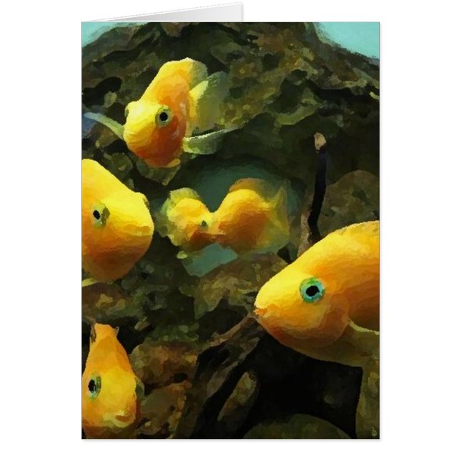 Trop cool pour le hangout à poisson de l'école (da (Devant)