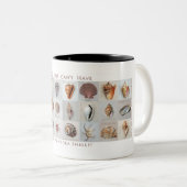 Trop de tasse de coquilles (Devant droit)