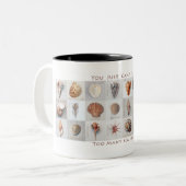 Trop de tasse de coquilles (Devant gauche)