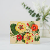 "Tropacalum" Zinnia Schets Briefkaart (Staand voorkant)