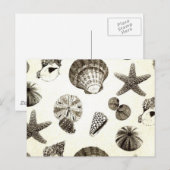  tropenstrand zeeschelp bruiloft briefkaart (Voorkant / Achterkant)