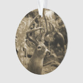 Trophée Deer (devant)