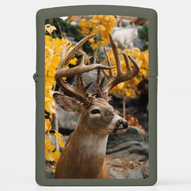 Trophy Deer (Front)
