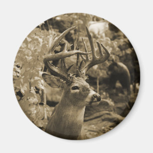 Trophy Deer Magneet