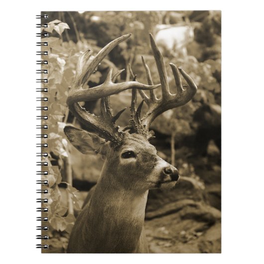 Trophy Deer Notitieboek (Voorkant)