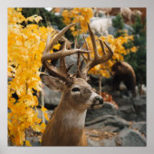 Trophy Deer Poster (Voorkant)