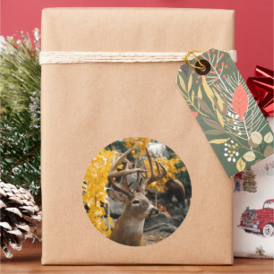Trophy Deer Ronde Sticker