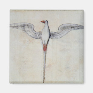 Tropic Bird Magneet