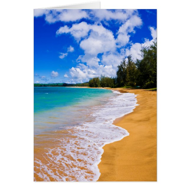 Tropical beach paradise (Devant)