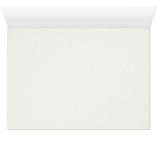 Tropical Beach Shells Starfish Nautilus Été (Intérieur Horizontal (Bas))