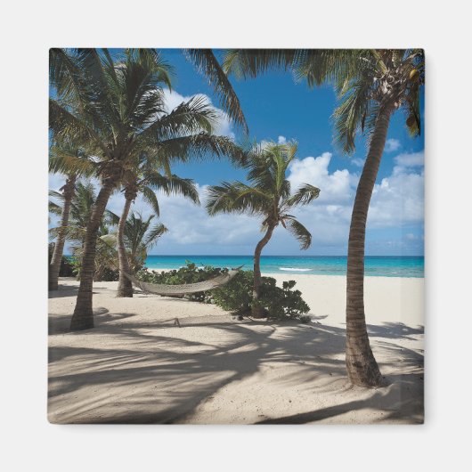 Tropical Beaches Anguilla Beach, Palm Tree Magneet (Voorkant)
