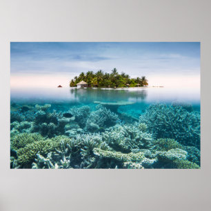 Tropical Beaches Ari Atoll Maldives Poster