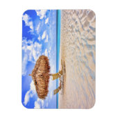 Tropical Beaches | Aruba Sandy Beach Magneet (Verticaal)