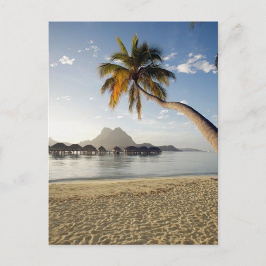 Tropical Beaches Bora Bora Briefkaart (Voorkant)