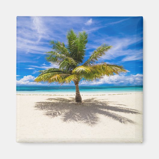 Tropical Beaches Bora Bora, French Polynesia Magneet (Voorkant)