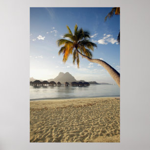 Tropical Beaches Bora Bora Poster