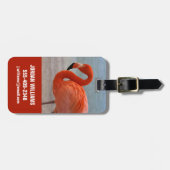 Tropical Beaches Caribbean Flamingo, Aruba Bagagelabel (Voorkant horizontaal)