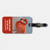 Tropical Beaches Caribbean Flamingo, Aruba Bagagelabel (Achterkant horizontaal)