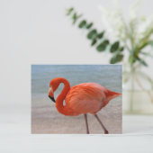 Tropical Beaches Caribbean Flamingo, Aruba Briefkaart (Staand voorkant)