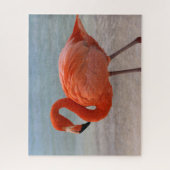 Tropical Beaches Caribbean Flamingo, Aruba Legpuzzel (Verticaal)