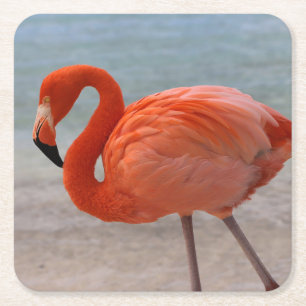 Tropical Beaches Caribbean Flamingo, Aruba Vierkante Kartonnen Onderzetter