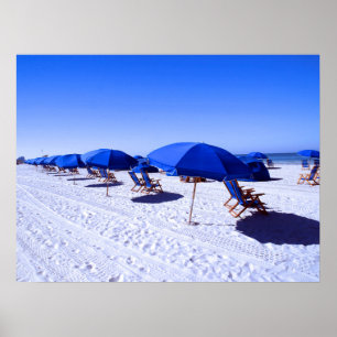 Tropical Beaches Clearwater, Florida Poster