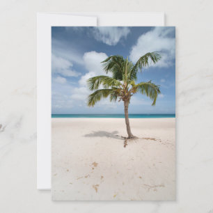 Tropical Beaches Eagle Beach, Aruba Bedankkaart