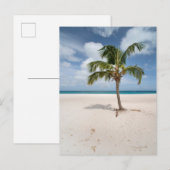 Tropical Beaches Eagle Beach, Aruba Briefkaart (Voorkant / Achterkant)