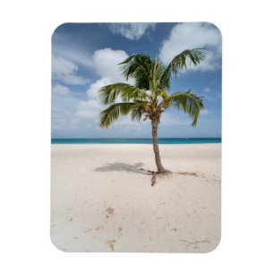 Tropical Beaches Eagle Beach, Aruba Magneet