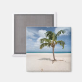 Tropical Beaches Eagle Beach, Aruba Magneet (Voorkant / Achterkant)