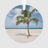 Tropical Beaches Eagle Beach, Aruba Ornament (achterkant)
