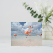 Tropical Beaches Flamingos Beach, Aruba Briefkaart (Staand voorkant)