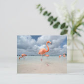 Tropical Beaches Flamingos Beach, Aruba Briefkaart (Staand voorkant)
