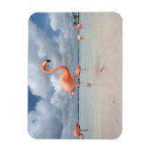 Tropical Beaches Flamingos Beach, Aruba Magneet (Verticaal)