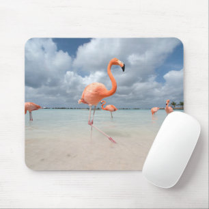 Tropical Beaches Flamingos Beach, Aruba Muismat