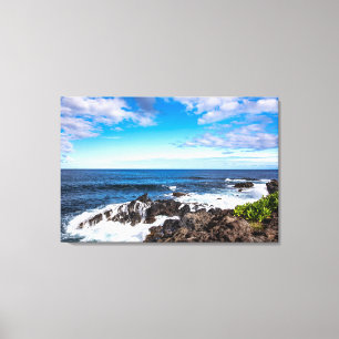 Tropical Beaches   Haleakala National Park Maui Canvas Afdruk