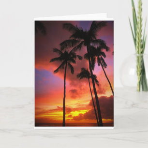 Tropical Beaches Maui Hawaii Islands Kaart