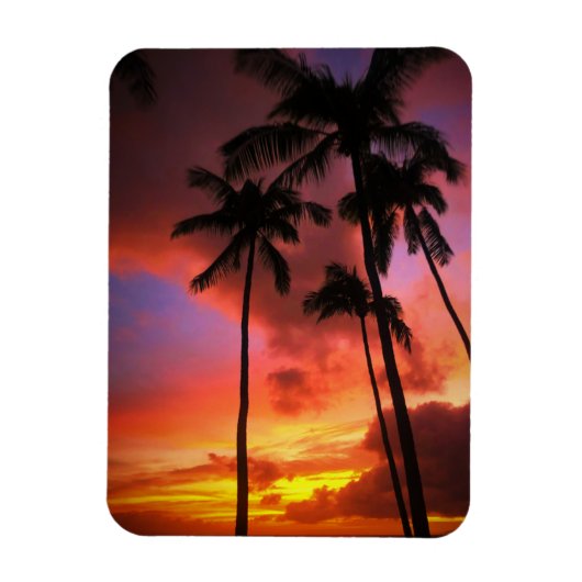 Tropical Beaches Maui Hawaii Islands Magneet (Verticaal)