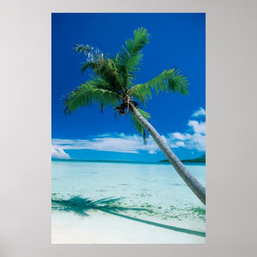 Tropical Beaches Motu Tofari Beach, Bora Bora Poster (Voorkant)