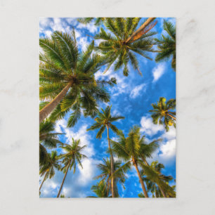 Tropical Beaches Palm Trees on Blue Sky Briefkaart