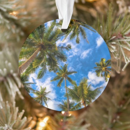 Tropical Beaches | Palm Trees on Blue Sky Ornament (Boom)