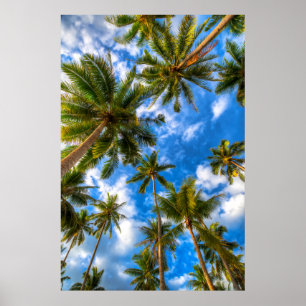 Tropical Beaches Palm Trees on Blue Sky Poster