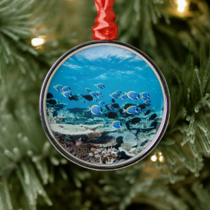 Tropical Beaches Sturgeon Amongst Coral Metalen Ornament